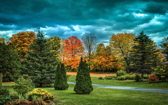 Обои картинки фото природа, парк, осень, деревья, аллея