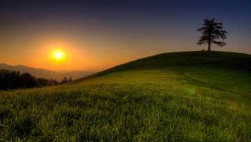 Картинка природа восходы закаты трава пригорок солнце дерево