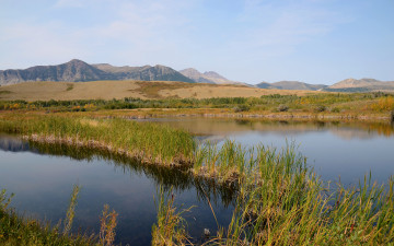 Картинка природа реки озера вода пруд горы трава болото