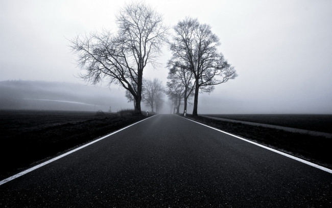 Обои картинки фото природа, дороги, дорога, туман
