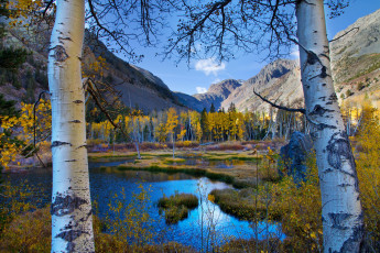 Картинка природа пейзажи озеро деревья горы небо березы лес осень