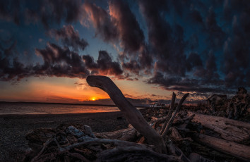 Картинка природа восходы закаты солнце горизонт океан пляж сучья тучт