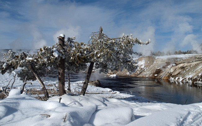 Обои картинки фото природа, зима, снег, река, испарения, стволы