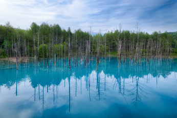 Картинка природа реки озера облака отражение деревья озеро