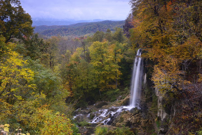 Обои картинки фото природа, водопады, река, лес, водопад