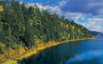 Картинка природа реки озера река берег осень лес