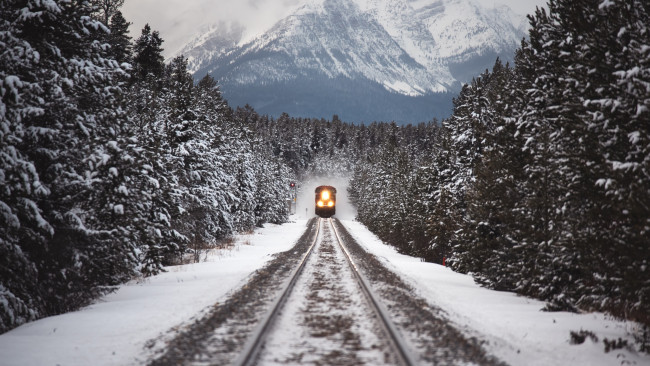 Обои картинки фото техника, поезда, рождество, лес, поезд, снег, зима