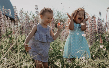 Картинка разное дети девочки луг трава цветы