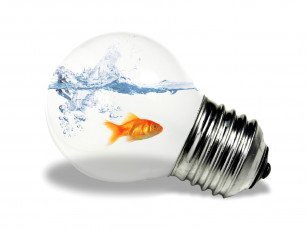 Картинка разное компьютерный дизайн золотая лампочка вода рыбка