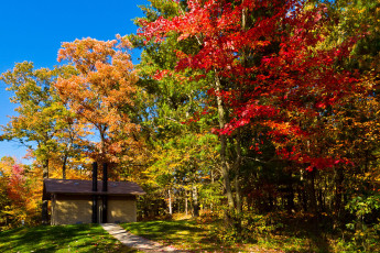 Картинка природа деревья осень дорожка домик