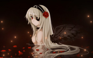 Картинка аниме kurehito misaki mangaka крылья роза лепестки вода девушка темный ангел
