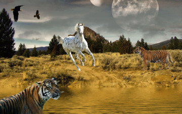 Картинка разное компьютерный дизайн тигр орёл лошадь конь