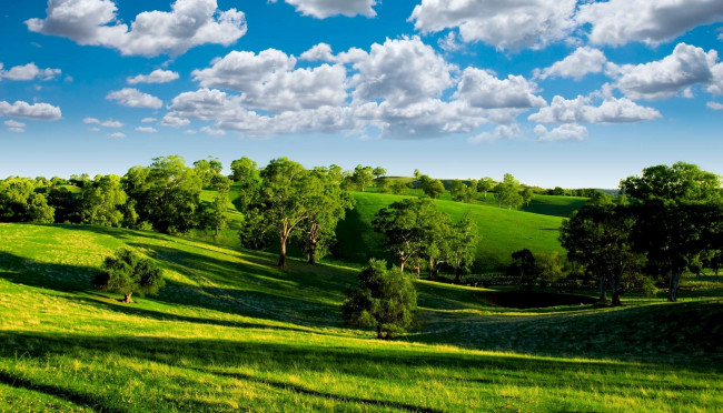Обои картинки фото природа, пейзажи, зелёная, долина, деревья, горизонт, облака, небо, голубое