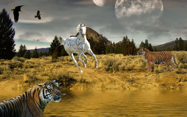 Обои картинки фото разное, компьютерный, дизайн, тигр, орёл, лошадь, конь
