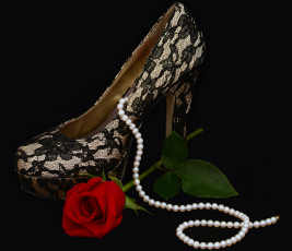 Картинка разное одежда обувь текстиль экипировка туфля роза ожерелье