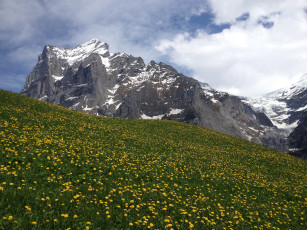 Картинка природа луга гриндельвальд швейцария