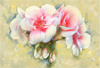 Картинка рисованные цветы розы фон