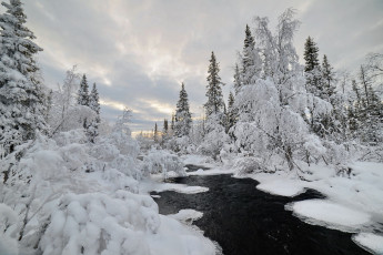 Картинка природа зима пейзаж снег север заполярье