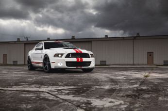 Картинка автомобили mustang shelby ford muscle car форд мускул кар белый gt500 мустанг