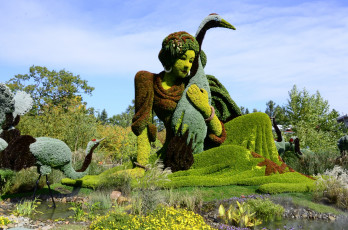 Картинка природа парк выставка монреаль калифорния ботанический сад квебек