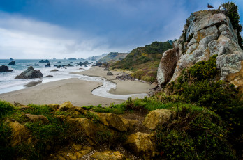 Картинка природа побережье пляж океан речушка скалы