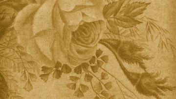Картинка разное текстуры винтаж текстура роза