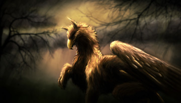 Картинка фэнтези существа крылья лес грифон мифическое существо