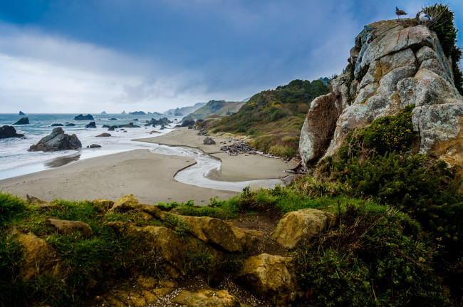 Обои картинки фото природа, побережье, пляж, океан, речушка, скалы