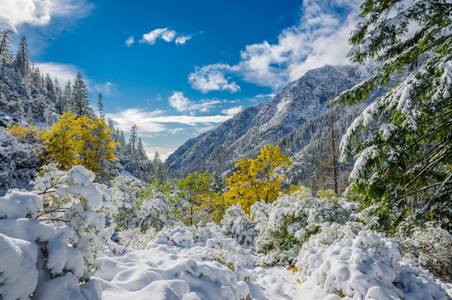 Обои картинки фото природа, зима, лес, снег, сугробы, распадок, горы