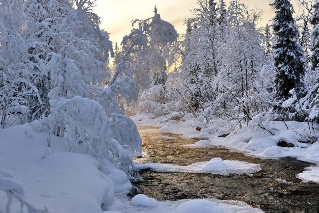 Обои картинки фото природа, зима, снег, пейзаж, заполярье, север