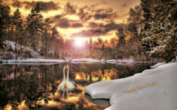 Картинка животные лебеди пейзаж закат солнце пара озеро деревья