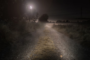 Картинка природа дороги ночь дорога луна