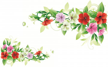 Картинка векторная+графика цветы+ flowers цветы