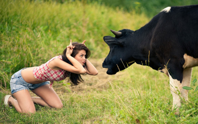 Обои картинки фото юмор и приколы, девушка, корова, бодает, рожки, травка
