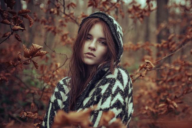 Обои картинки фото девушки, -unsort , брюнетки,  шатенки, рыжая, капюшон, кофта, лес, осень