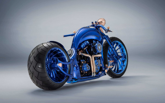 Обои картинки фото 2019 harley davidson blue edition, мотоциклы, customs, американские, чоппер, синий, роскошный