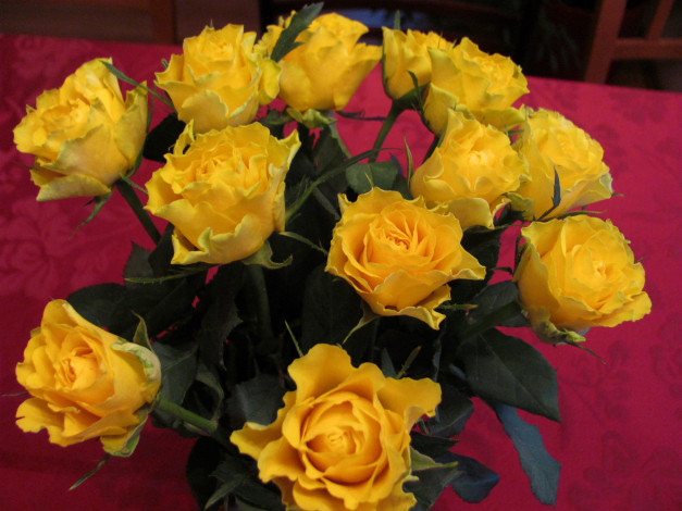 Обои картинки фото цветы, розы, желтые, бутоны, букет