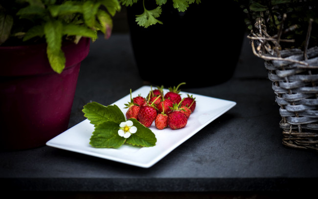 Обои картинки фото еда, клубника,  земляника, ягоды, листья, цветок