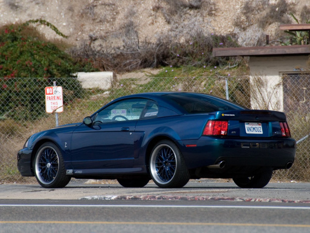 Обои картинки фото автомобили, mustang, ford