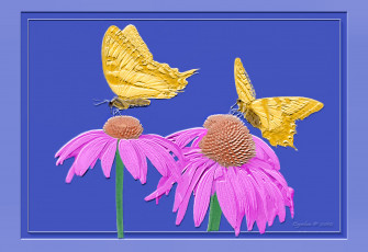 Картинка 3д графика flowers цветы