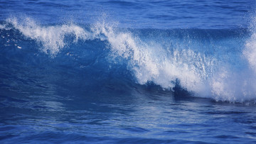 Картинка природа моря океаны волна