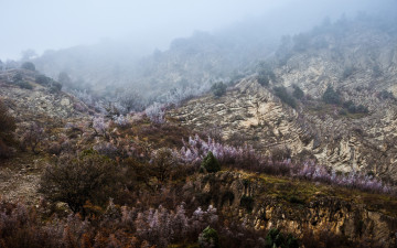 Картинка природа горы россия кавказ дагестан дмитрий чистопрудов