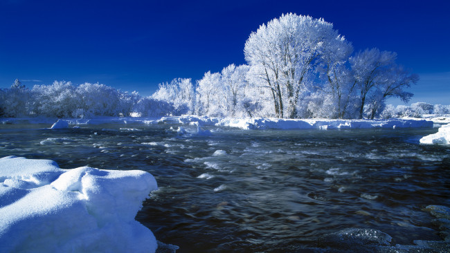 Обои картинки фото природа, зима, деревья, река
