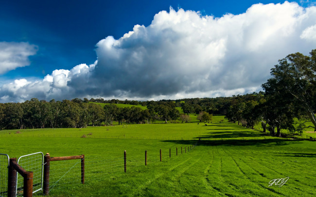Обои картинки фото природа, поля, облака, забор