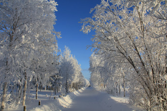 Картинка природа зима зимняя сказка