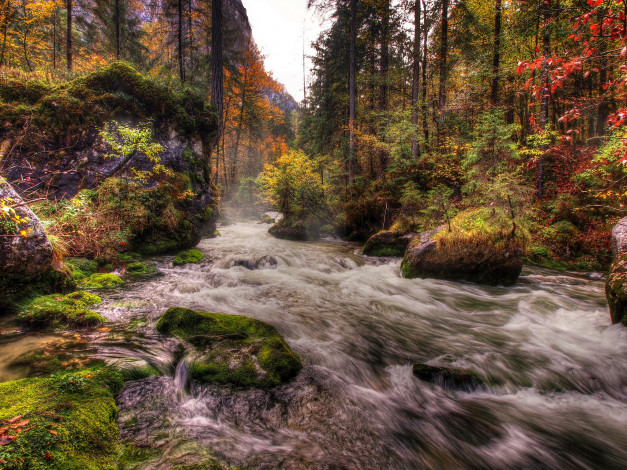 Обои картинки фото austria, природа, реки, озера, лес, река