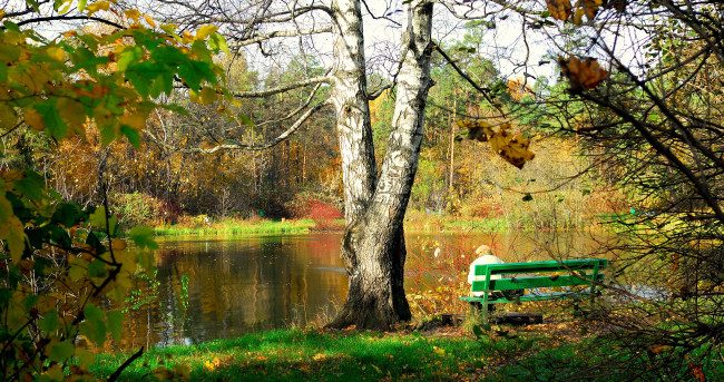 Обои картинки фото природа, реки, озера, пейзаж, скамья, осень