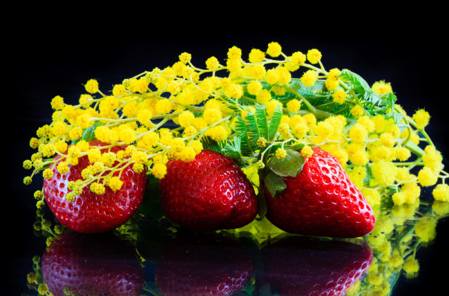 Обои картинки фото еда, клубника, земляника, мимоза, ягоды