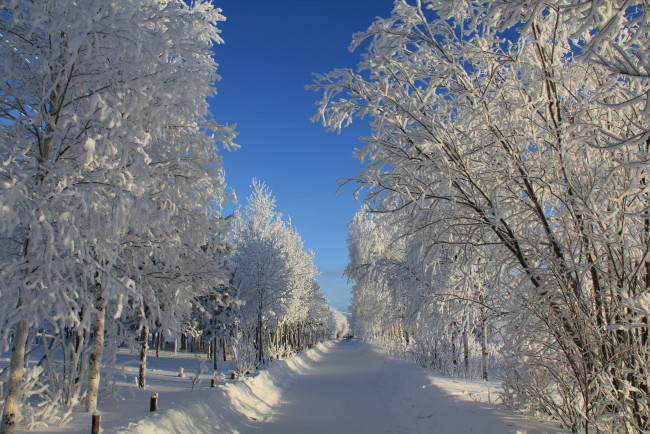 Обои картинки фото природа, зима, зимняя, сказка