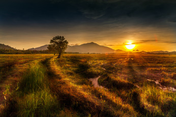 Картинка природа восходы закаты солнце горы дерево трава поле
